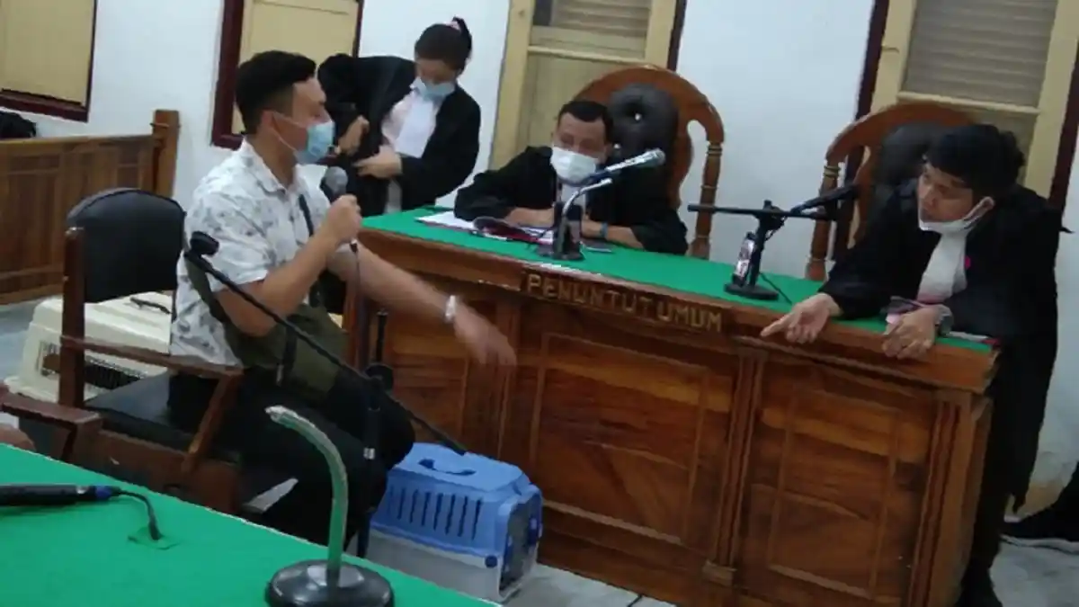 Ada Kucing Ikut Sidang di Pengadilan Negeri Medan, Pemilik Bolak-balik Kehilangan