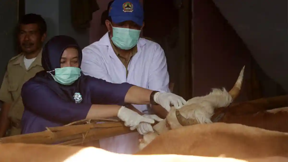 Dispertan Imbau Masyarakat Solo Tak Cuci di Sungai Hewan yang Telah Disembelih