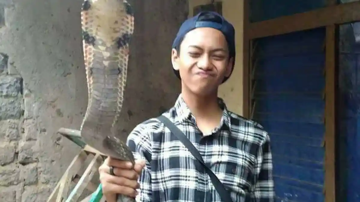 Ini Trik Agar Ular Tidak Masuk ke Dalam Rumah, Tidur Jadi Nyenyak dan Aman