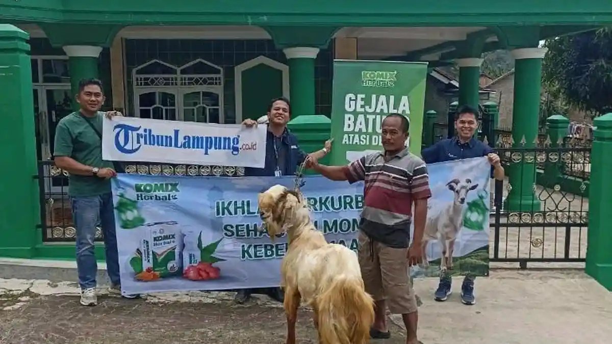Komix Herbal dan Tribun Lampung Berbagi Kambing Kurban Momen Idul Adha