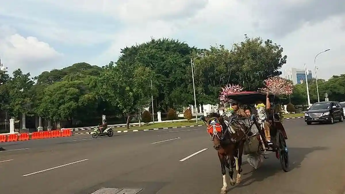 Sabtu Besok Sosialisasi Larangan Delman di Monas