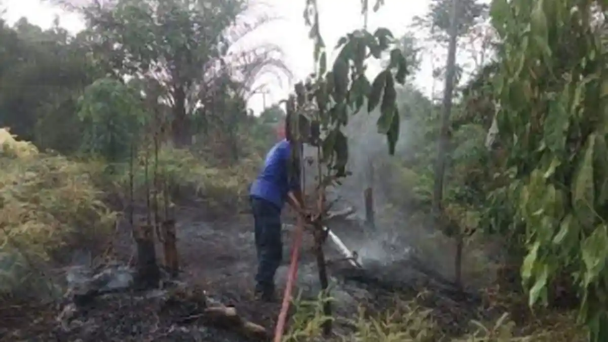 Memasuki Musim Kemarau, Warga Musirawas, Linggau dan Muratara Mulai Banyak Bakar Lahan