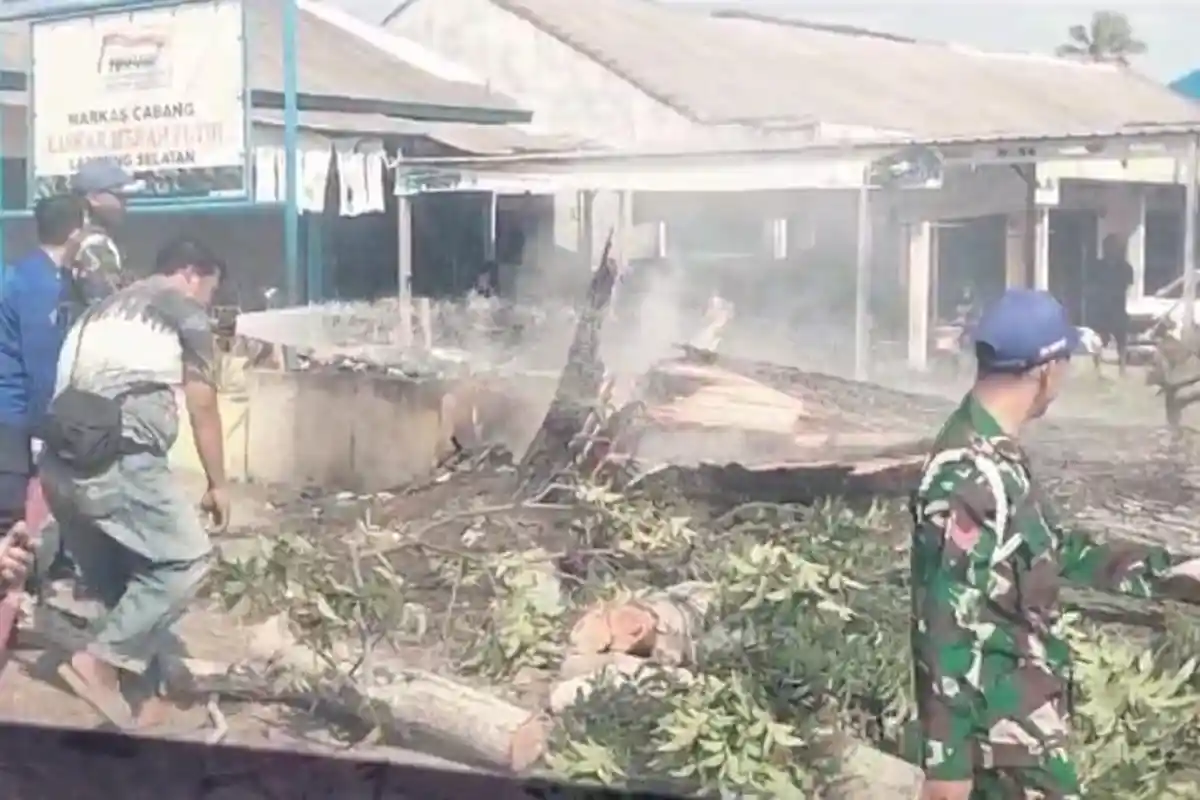 Kesaksian Warga Lihat Pengendara Motor Tertimpa Pohon di Jalinsum Lampung Selatan