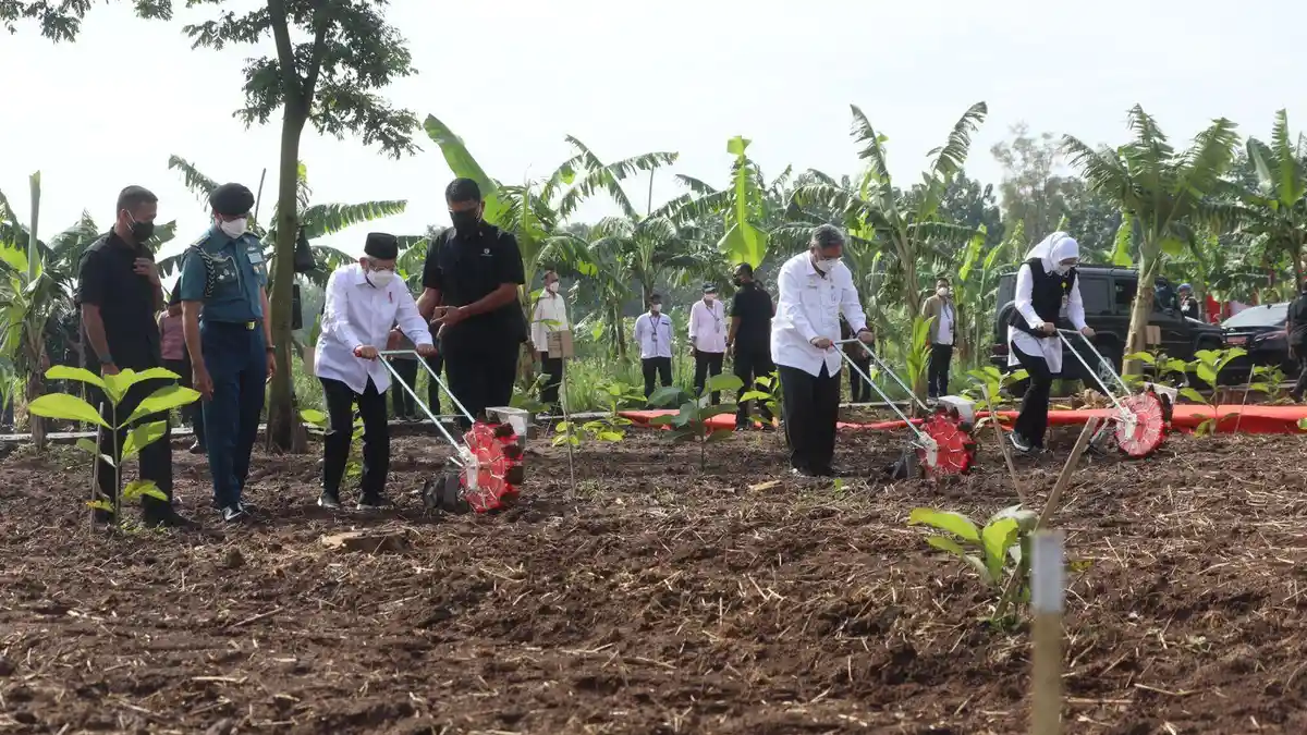 Wapres Ajak Masyarakat Bertani dengan Konsep Integrated Farming untuk Pertanian yang Lebih Modern