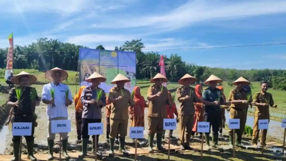 Dorong Produksi dan Kesejahteraan Petani, Bupati Rohul Serahkan Bantuan ...
