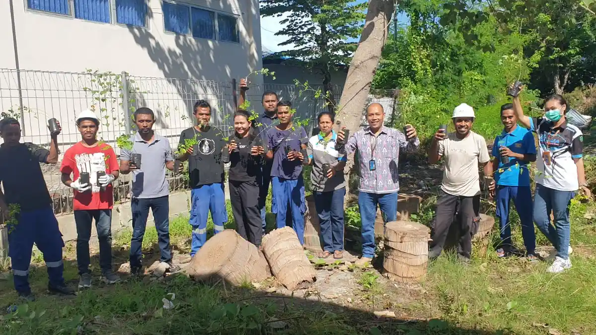 Tanam Kelor, PT Pelindo Regional 3 Maumere Menghadapi Bulan K3