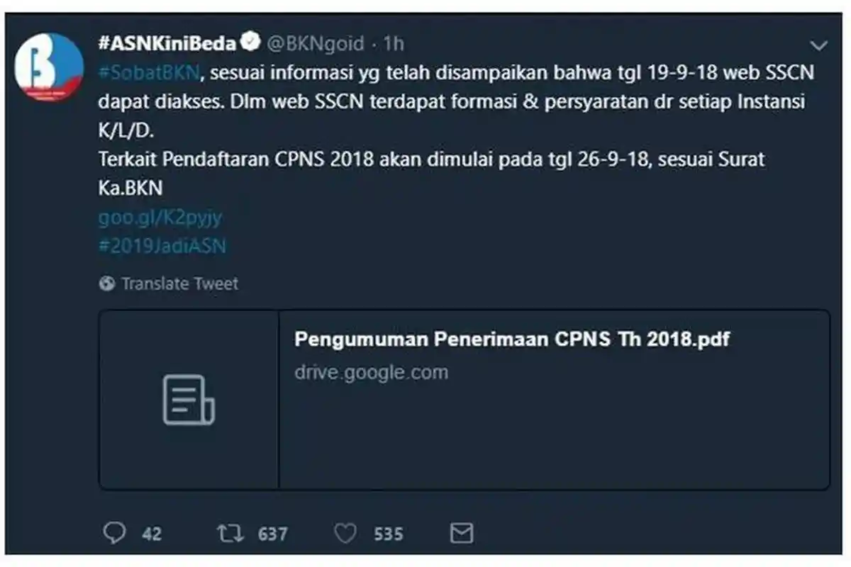 Hindari Server Down, Kepala BKN Bocorkan Waktu yang Tepat Buka Website CPNS 2018