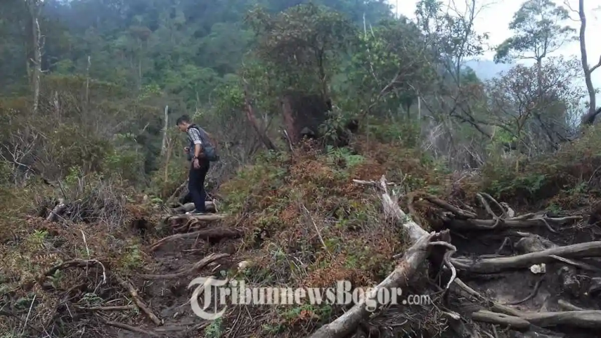 Menikmati Sejuknya Hawa Dingin Kawah Ratu, Siapkan Fisik dan Mendaki Pagi Hari