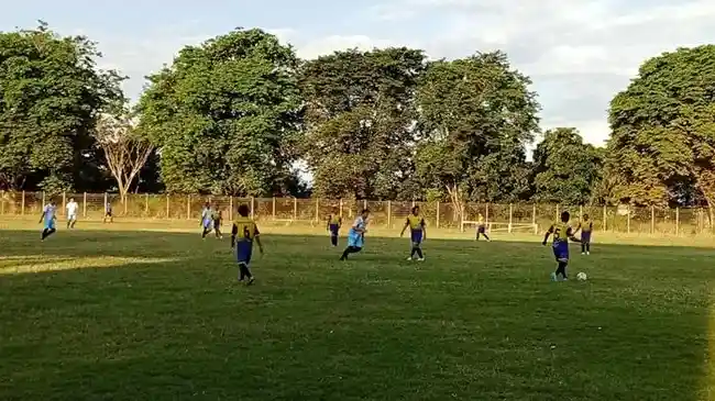 Tribun