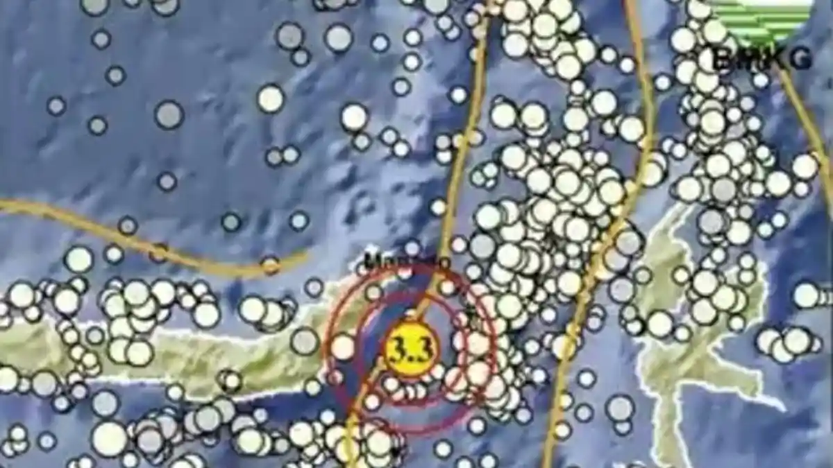 Gempa Terkini Sulawesi Utara Pagi Ini Kamis 20 November 2025, Terjadi di Sini, Berikut Info BMKG