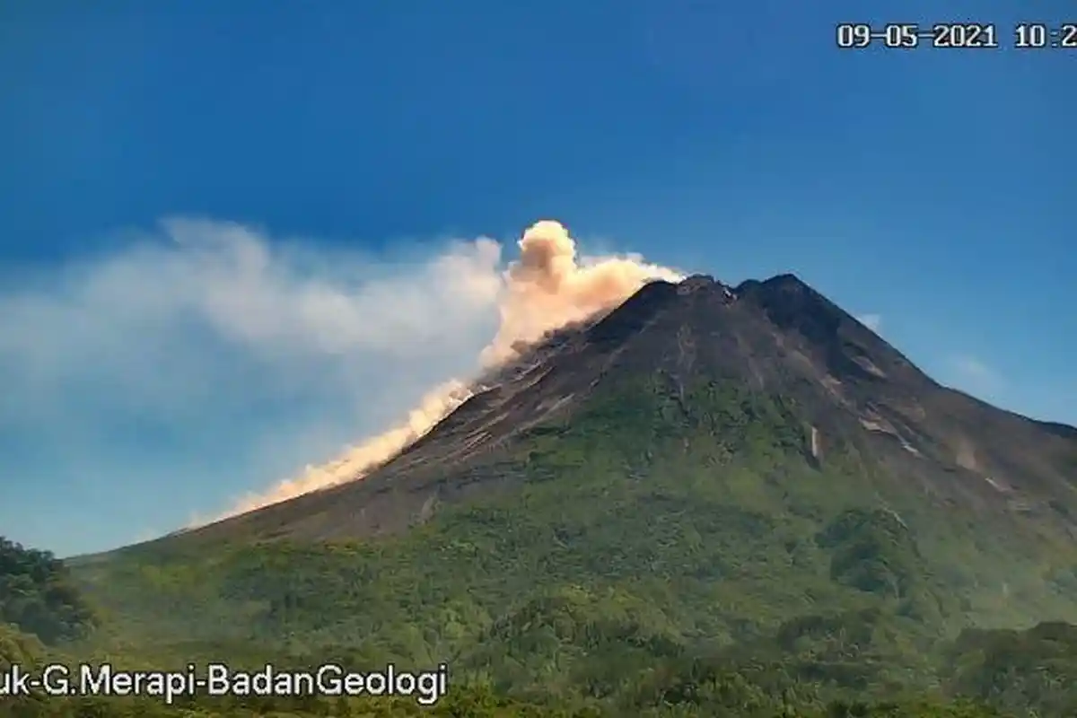 Ada Kenaikan Dari Kegempaan, Status Siaga, Gunung Merapi Muntahkan Awan Panas Hari Ini