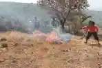 KEBAKARAN-DI-KEPIKETIK.jpg