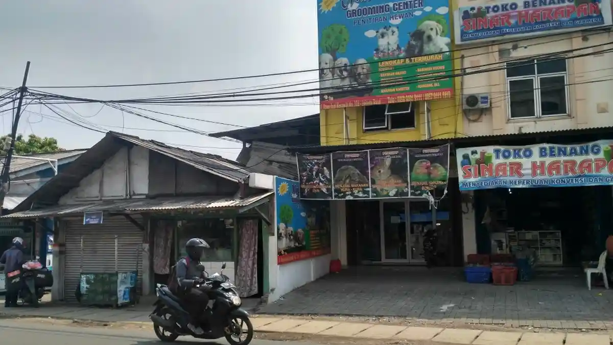 Mudik Lebaran, Anda Bisa Titipkan Hewan Kesayangan di Petshop Duri Kosambi