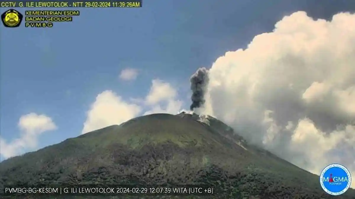 Gunung Ile Lewotolok Alami 2.919 Kali Gempa Embusan