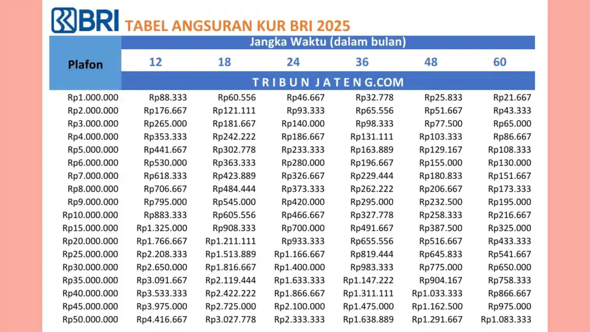 CICILAN KUR BRI 2025: Cek Syarat dan Tabel PINJAMAN Rp 5 Juta, Rp 50 ...