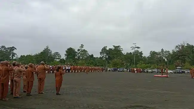 Tribun