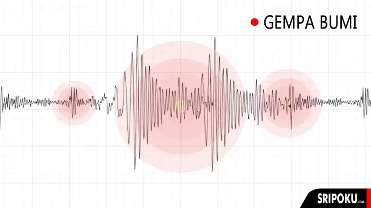 Apakah Ada Warga Indonesia Terdampak Gempa M 7.1 di Perbatasan China-Kirgistan ?
