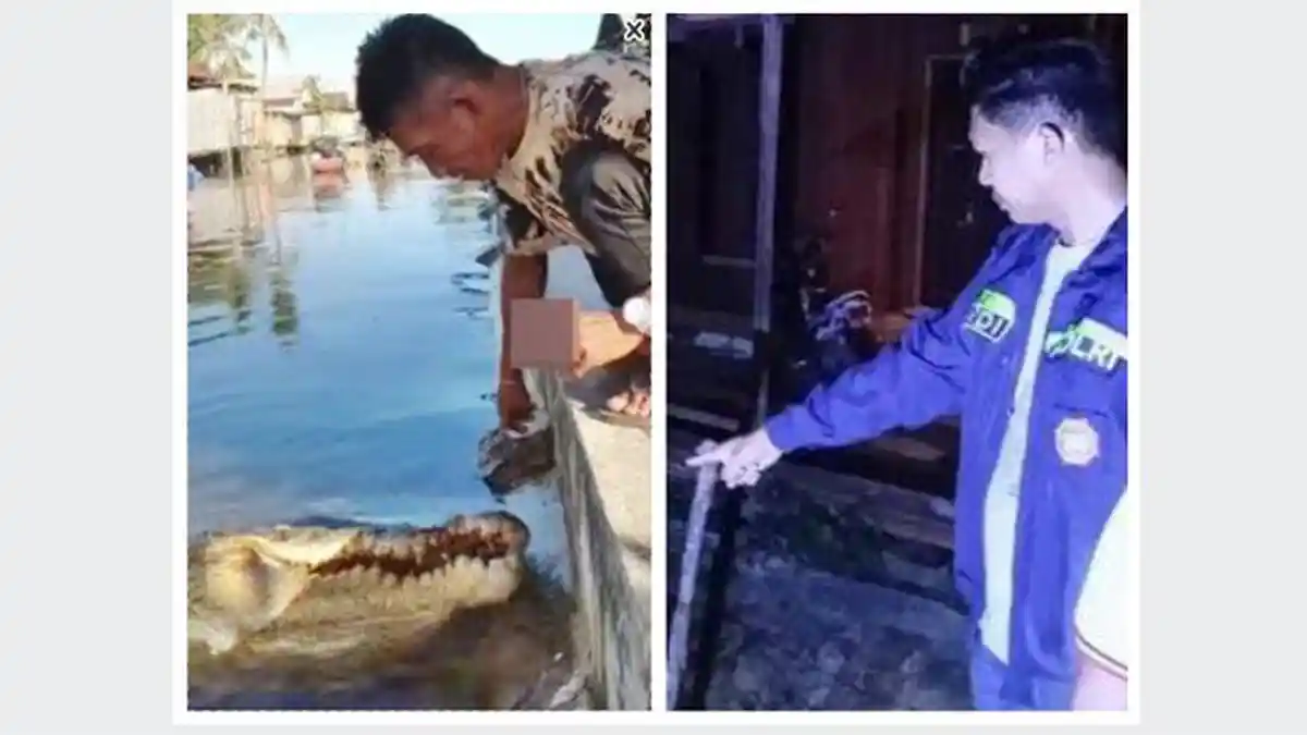 Pasca Operasi Fitri Ramadani Korban Serangan Buaya di Bontang Dirujuk ke RS AWS Samarinda