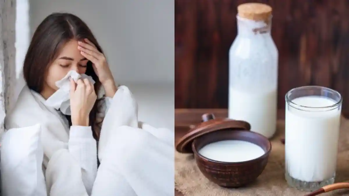 Minum Susu Beruang Menyembuhkan Atau Justru Memperparah Flu dan Pilek? Simak Penjelasannya!