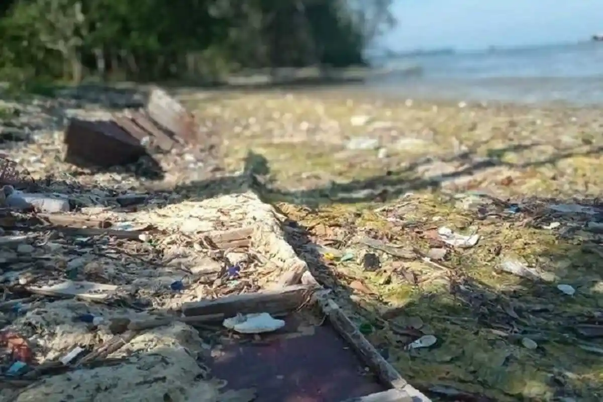 Tolak Tambak Udang Karimunjawa, Warga Minta DPRD Jepara Segera Sahkan Raperda RTRW