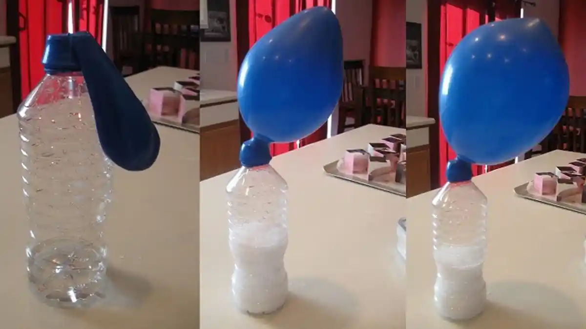 Tak Disangka! Ini yang Terjadi Jika Balon Ini Dibekukan, Kamu Akan Kaget