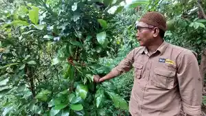 Founder-Biji-Kopi-Borneo-Dwi-Putra-Kurniawan1.jpg