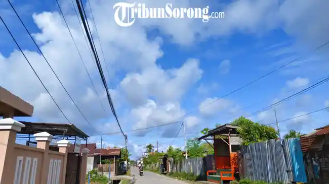 Tribun