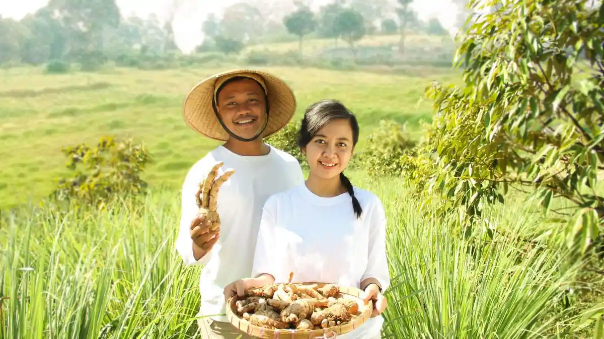 Lowongan Kerja Sido Muncul Bagi Fresh Graduate, Simak Posisi Penempatan ...