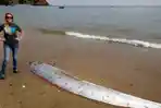 oarfish-yang-terdampar-di-pantai.jpg
