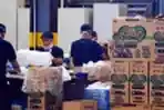 Aktivitas Produksi PT Softex Indonesia di Pabrik Sidoarjo