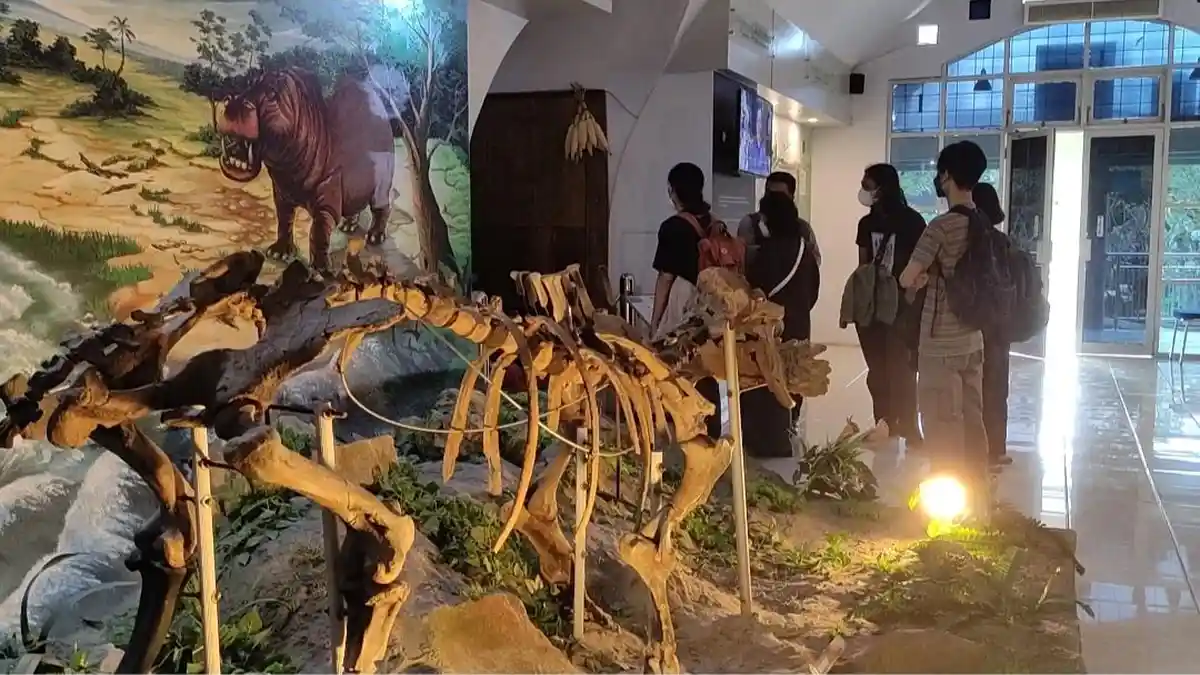 Memahami Kehidupan Manusia Purba dari Museum Sangiran, Ada Homo Erectus Usia 1,25 Juta Tahun