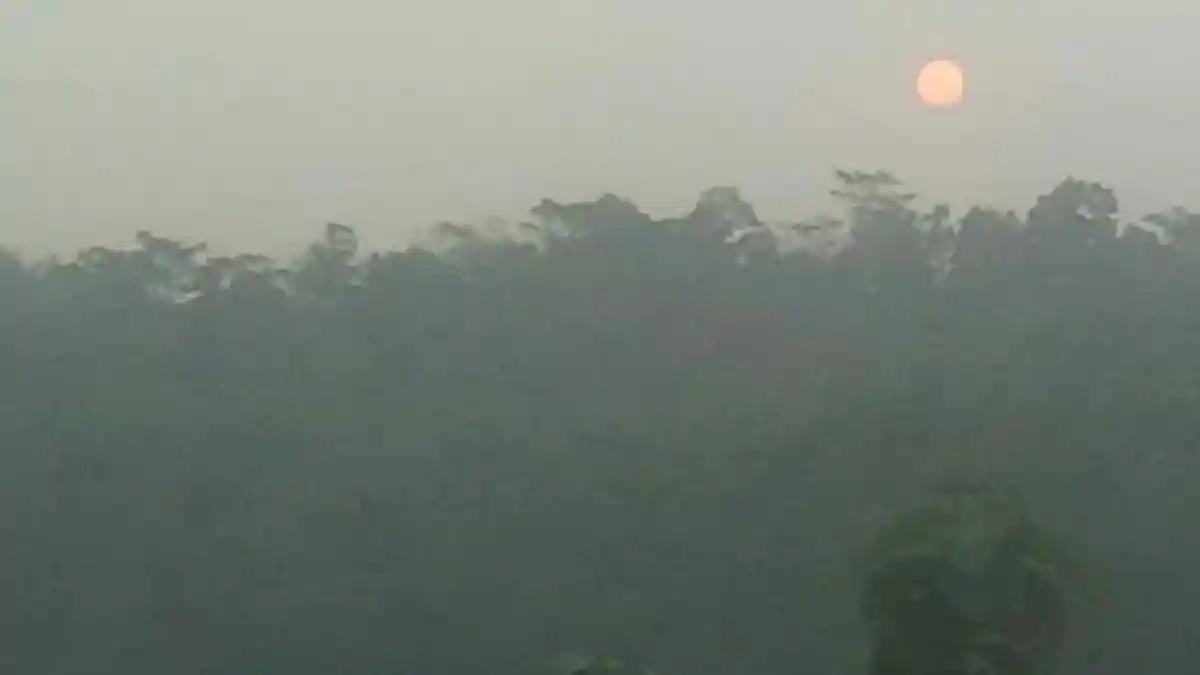 Solo Mulai Diserang Asap, Warga Keluhkan Mata Perih dan Sulit Bernapas