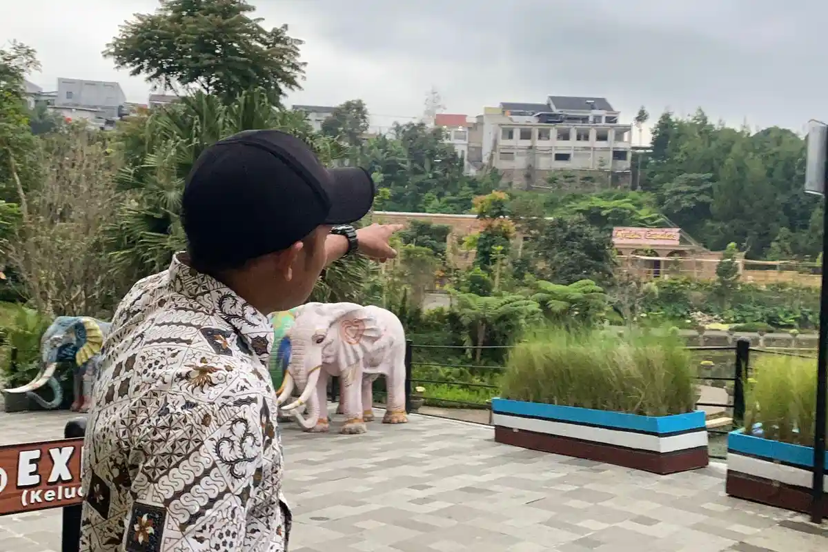 Macan Tutul Kabur di Lembang Park & Zoo Belum Tertangkap, Umpan Anak Domba Tak Berhasil