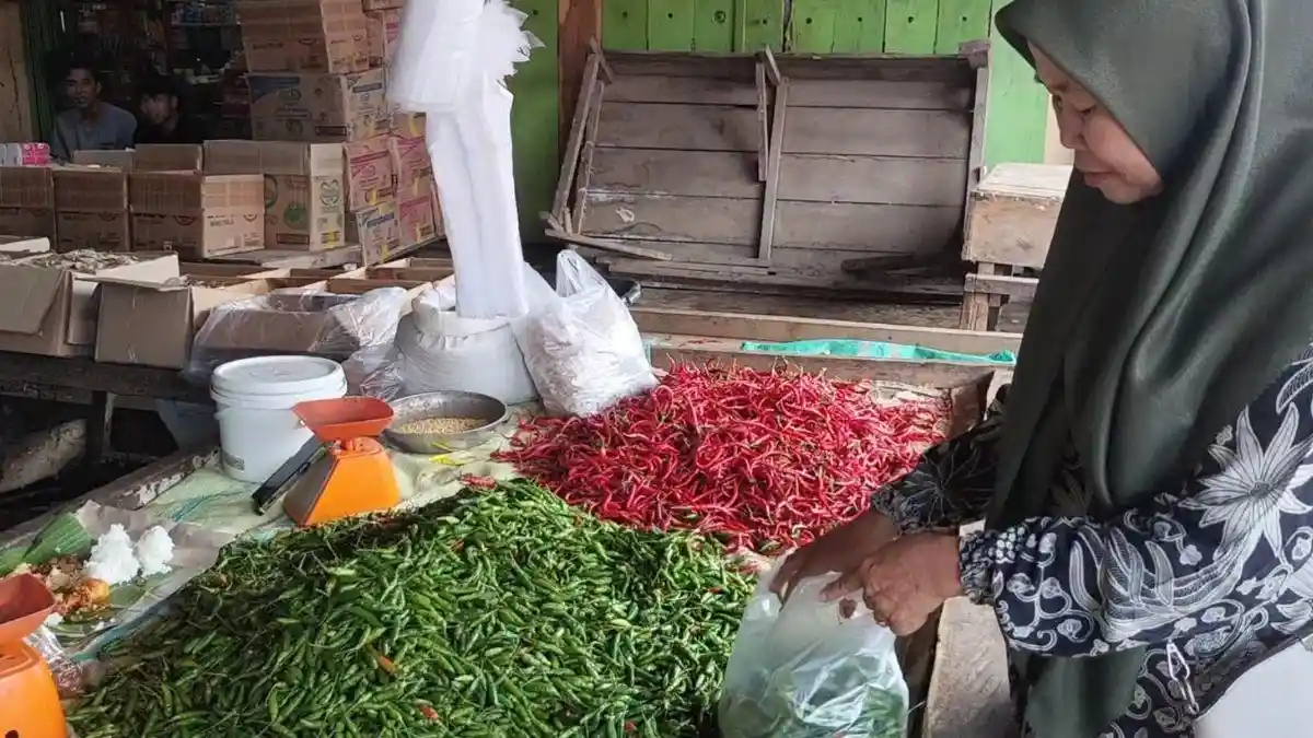 Harga Cabai di Musi Rawas Berada di Titik Terendah, Cabai Merah Keriting Hanya Rp 20 Ribu Perkilo