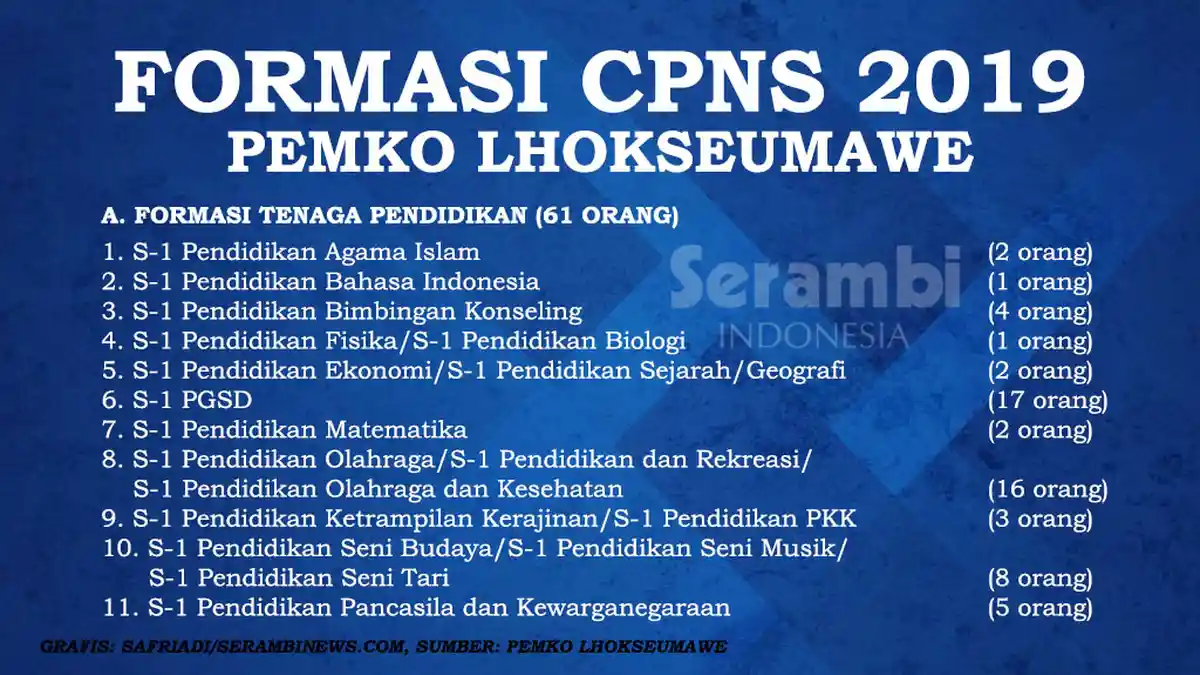 LENGKAP! Ini Formasi CPNS 2019 Pemko Lhokseumawe, Diterima 147 Orang, Paling Banyak Dicari S1 PGSD