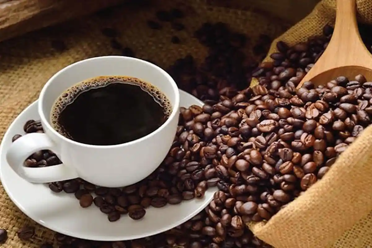 Peluang Petani Jadi Pengusaha Kopi Semakin Besar