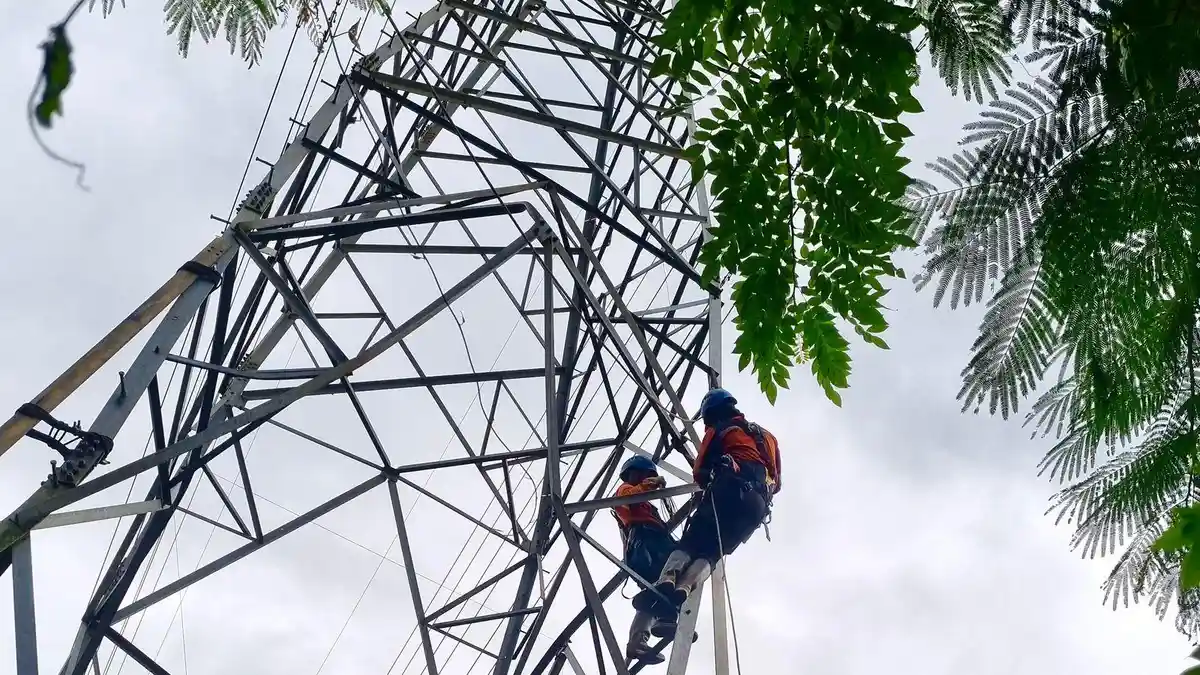 PLN Gerak Cepat Atasi Kritis Tower Transmisi di Jalur Wolo-Kolaka