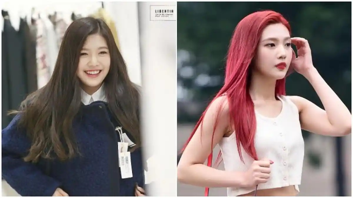 Diet Ketat Ala Seleb Korea, Lihat Perubahan 4 Artis ini! No 3 Bikin Nggak Percaya!
