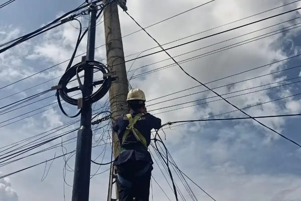 PLN Icon Plus Lakukan Penataan dan Pendataan Kabel Ilegal di Tiang PLN dan Jaga Keandalan Jaringan
