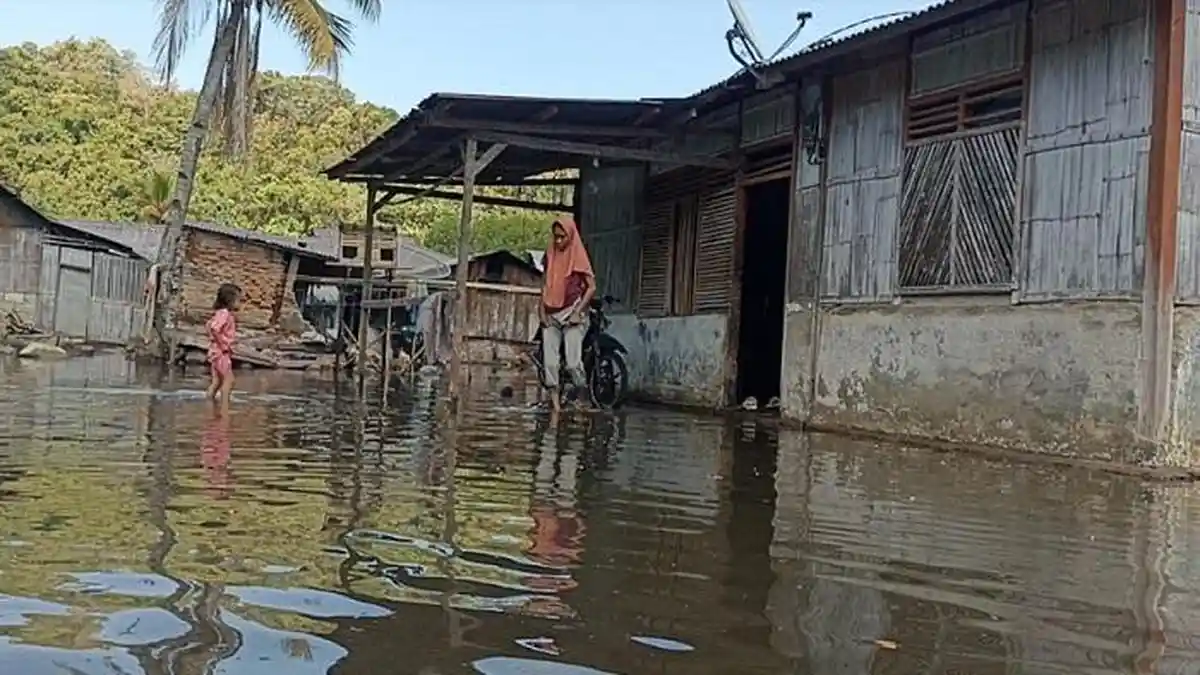 Sudah Tiga Hari Permukiman Warga di Sikka Terendam Banjir Rob
