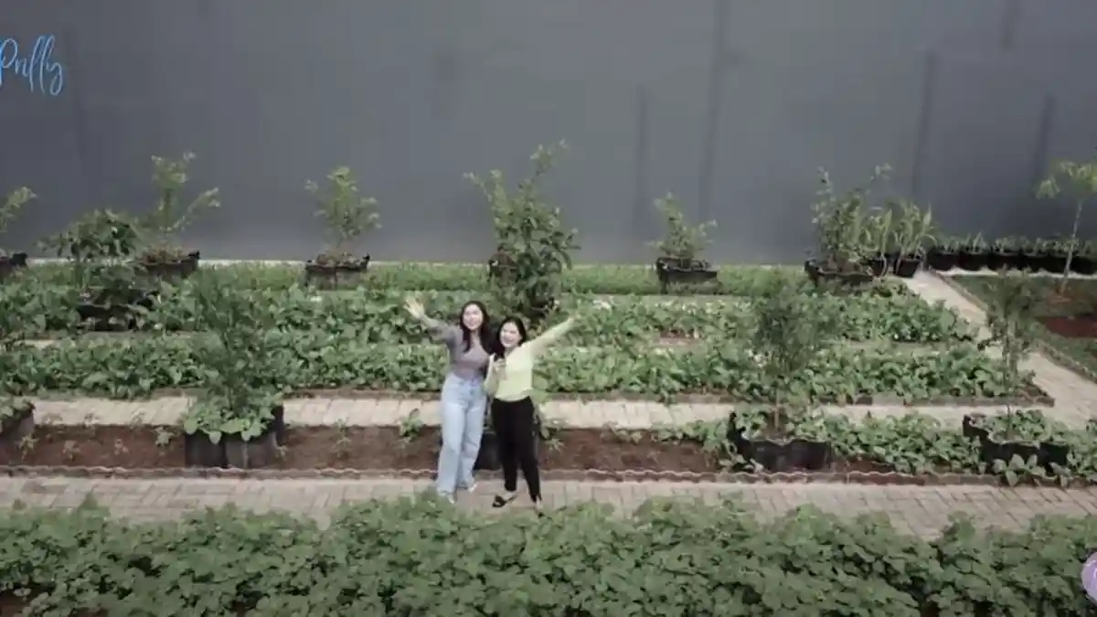 Teman Prilly Latuconsina Panen Sayuran Kangkung Dirumahnya : Ya Ampun