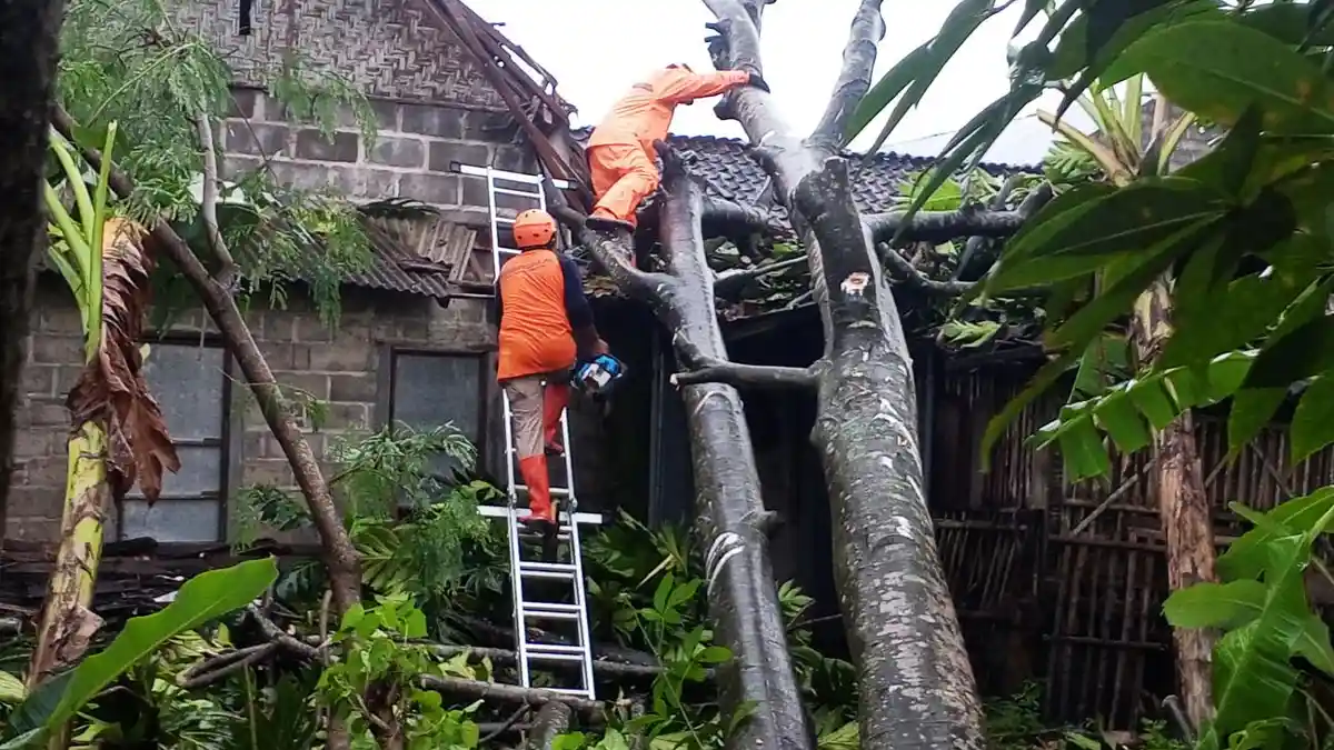 Puluhan Rumah di Plosokandang dan Tanjungsari Tulungagung Rusak Disapu Puting Beliung