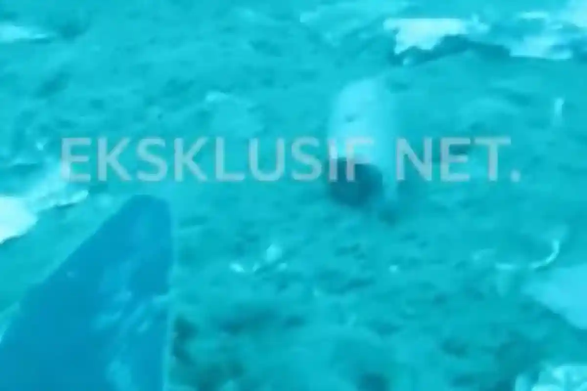 Lion Air Jatuh : Bangkai Badan Pesawat Lion Air JT 610 Ditemukan, Begini Kondisinya