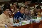 RDP Kinerja BTN di DPR