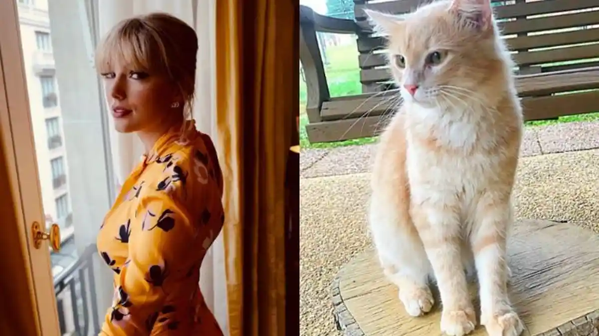 Di Film Cats, Taylor Swift Jadi Kucing Oren, Lihat Fotonya