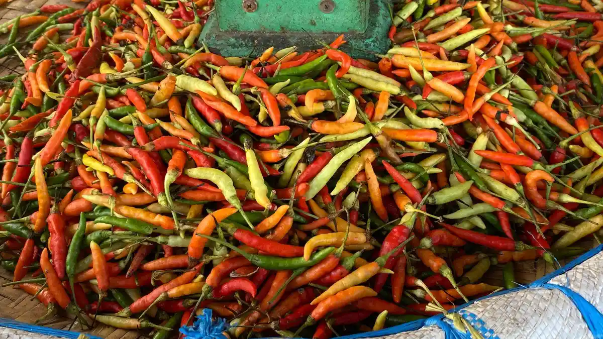 Harga Cabai Rawit di Pasar Karombasan Kota Manado Rp 200 Ribu per Kilo Pasca Natal