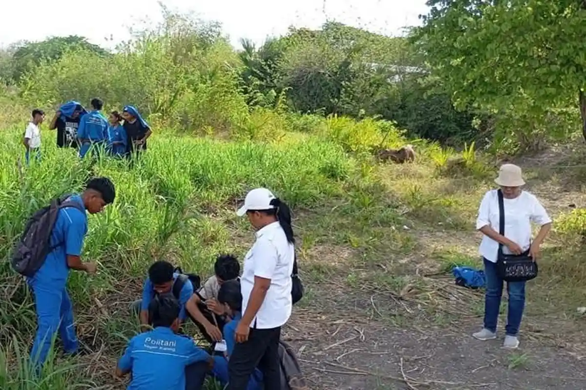 Mahasiswa Prodi MPLK Politani Kupang Analisis Vegetasi Gulma di Oesao Kabupaten Kupang