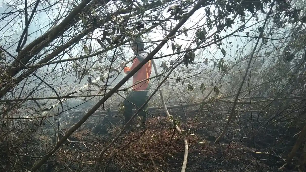 Kebakaran Lahan di Dumai, 3 Helikopter Masih Siaga Bantu Pemadaman