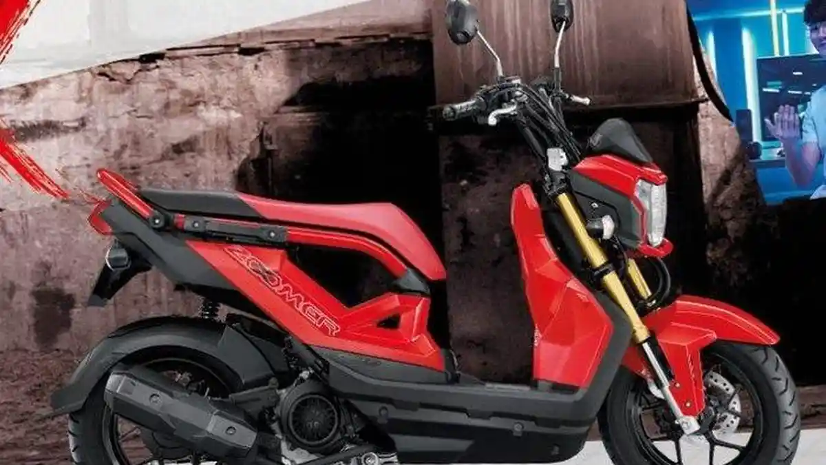 Honda Zoomer Bakal Dirilis di Indonesia, Banderolnya di Bawah PCX?
