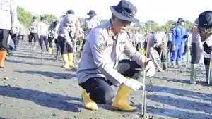 Polda-tanam-10-ribu-mangrove-di-Alue-Naga.jpg